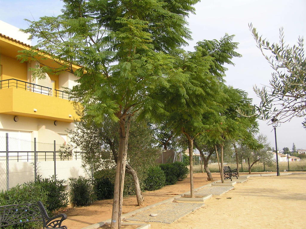 Apartamentos Turisticos Los Girasoles Espartinas Exterior photo